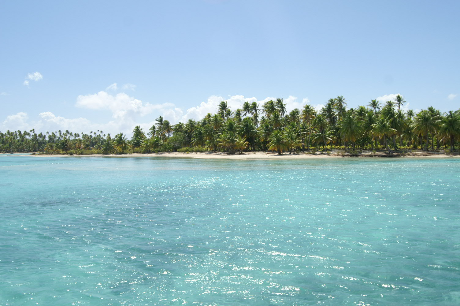 PICT1128.JPG