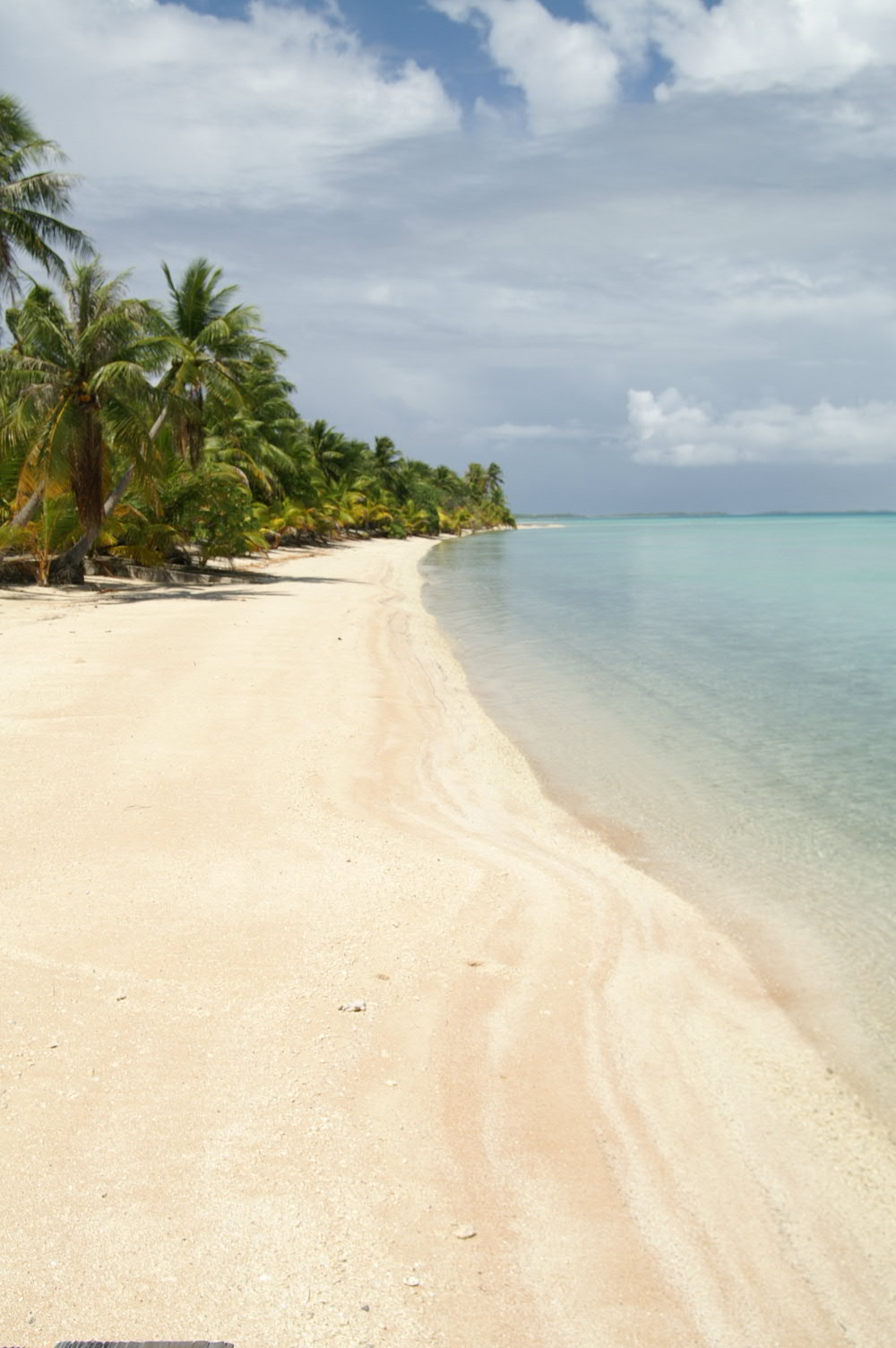 PICT1130.JPG
