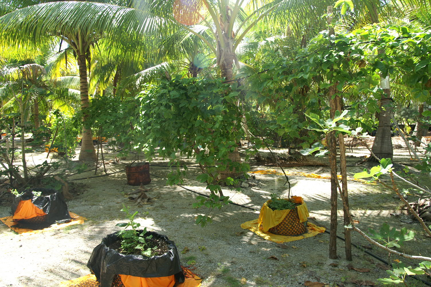 PICT1134.JPG
