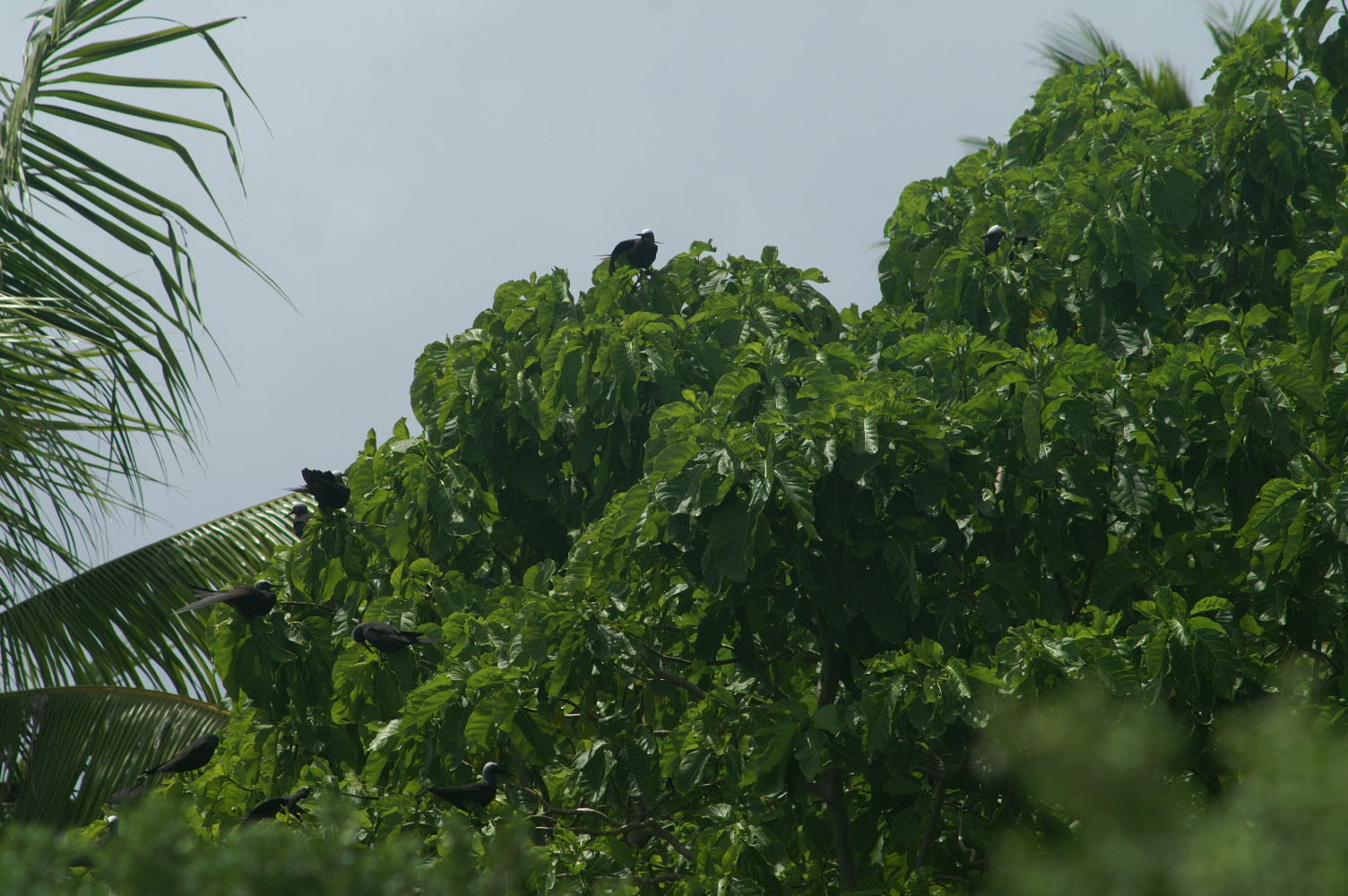 PICT1143.JPG