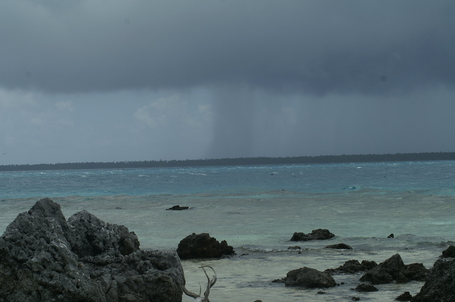PICT1154.JPG