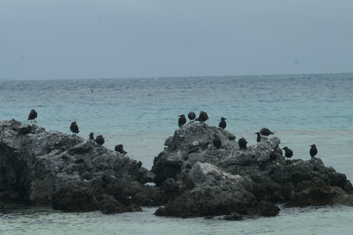 PICT1156.JPG