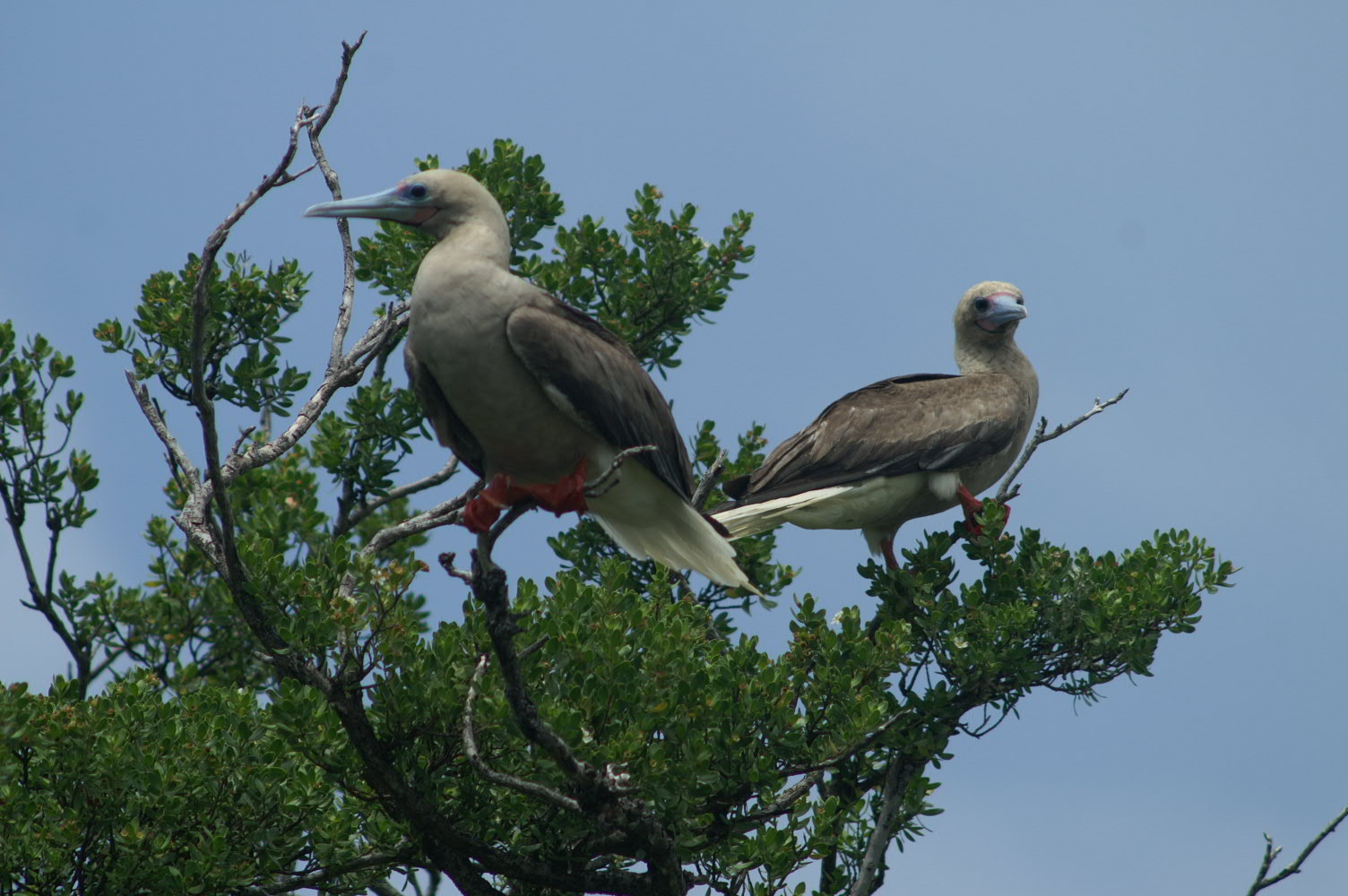 PICT1159.JPG