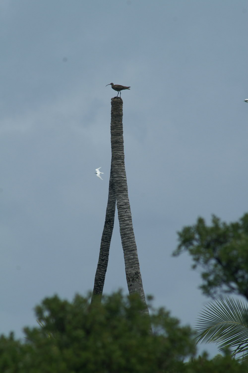 PICT1160.JPG