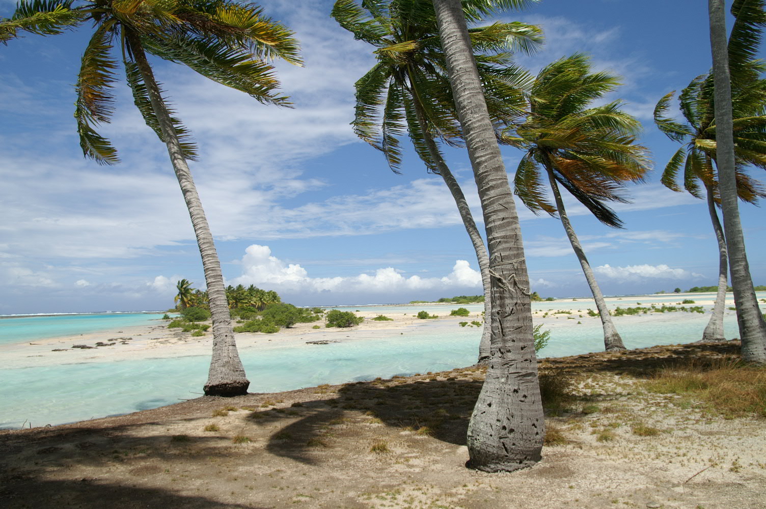 PICT1161.JPG