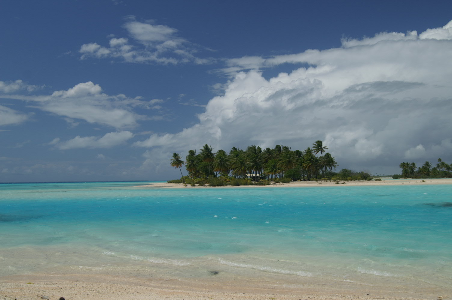 PICT1170.JPG