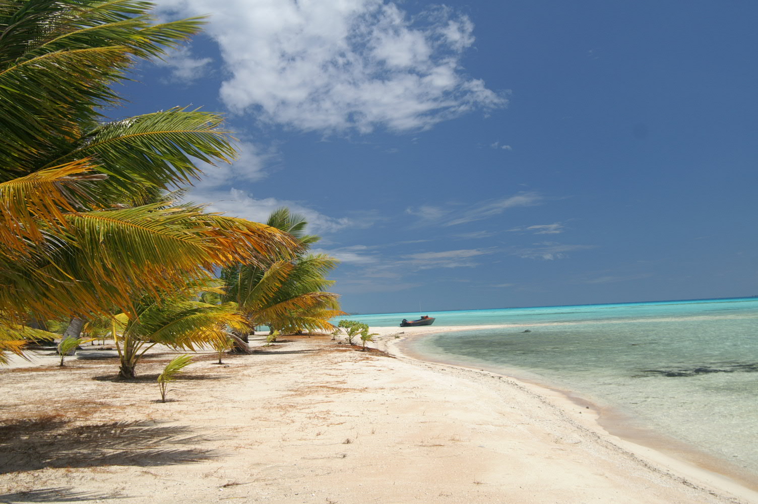 PICT1172.JPG