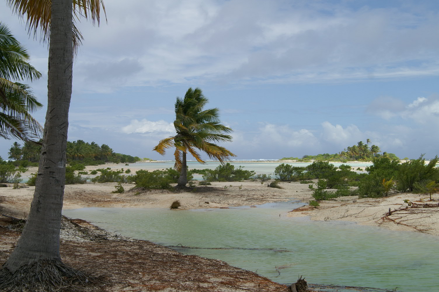 PICT1181.JPG