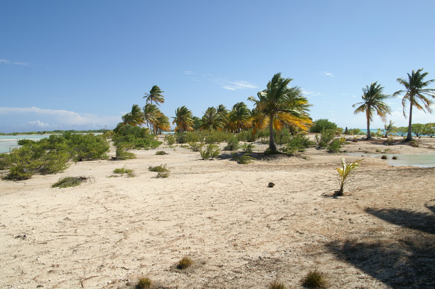 PICT1190.JPG