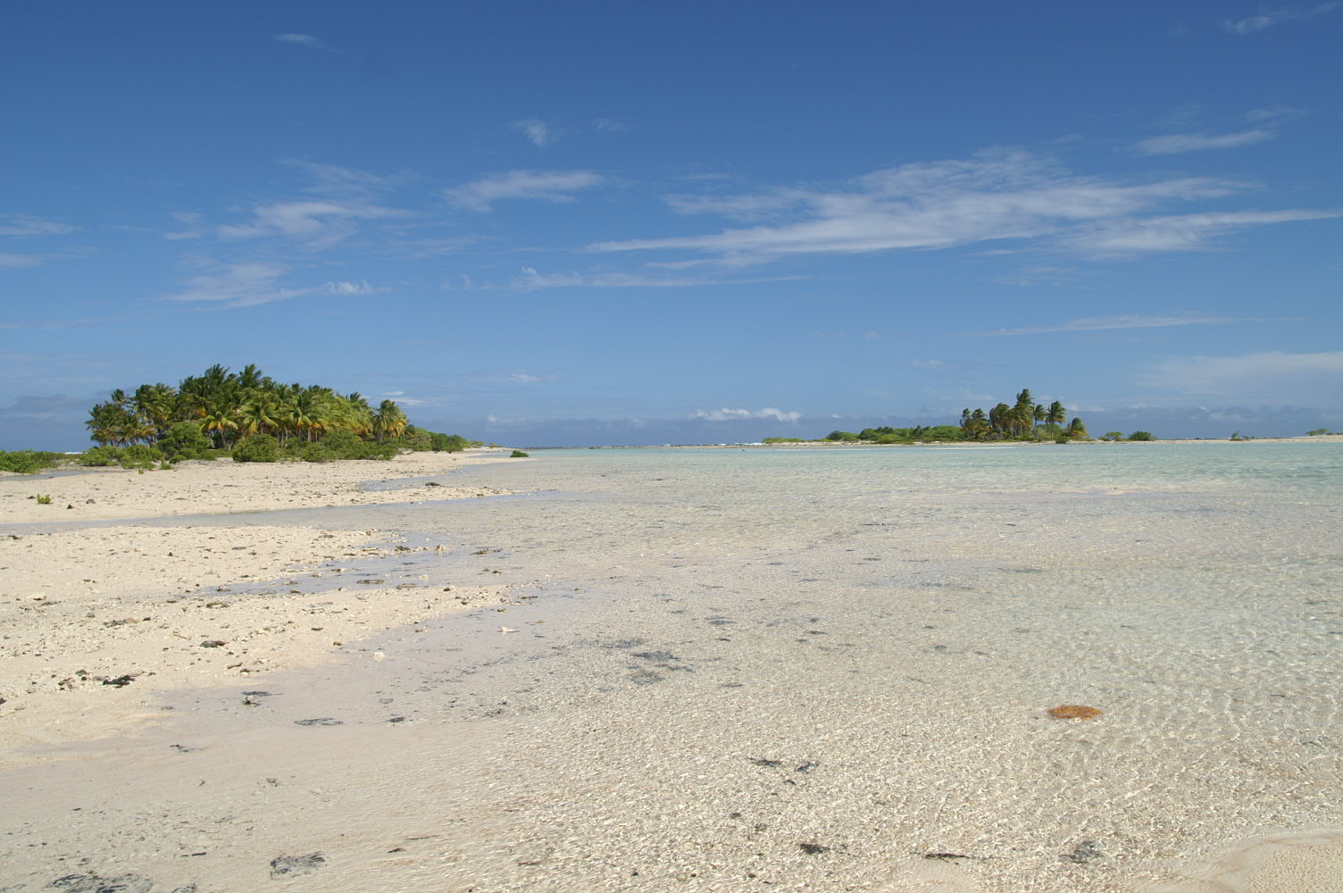 PICT1191.JPG