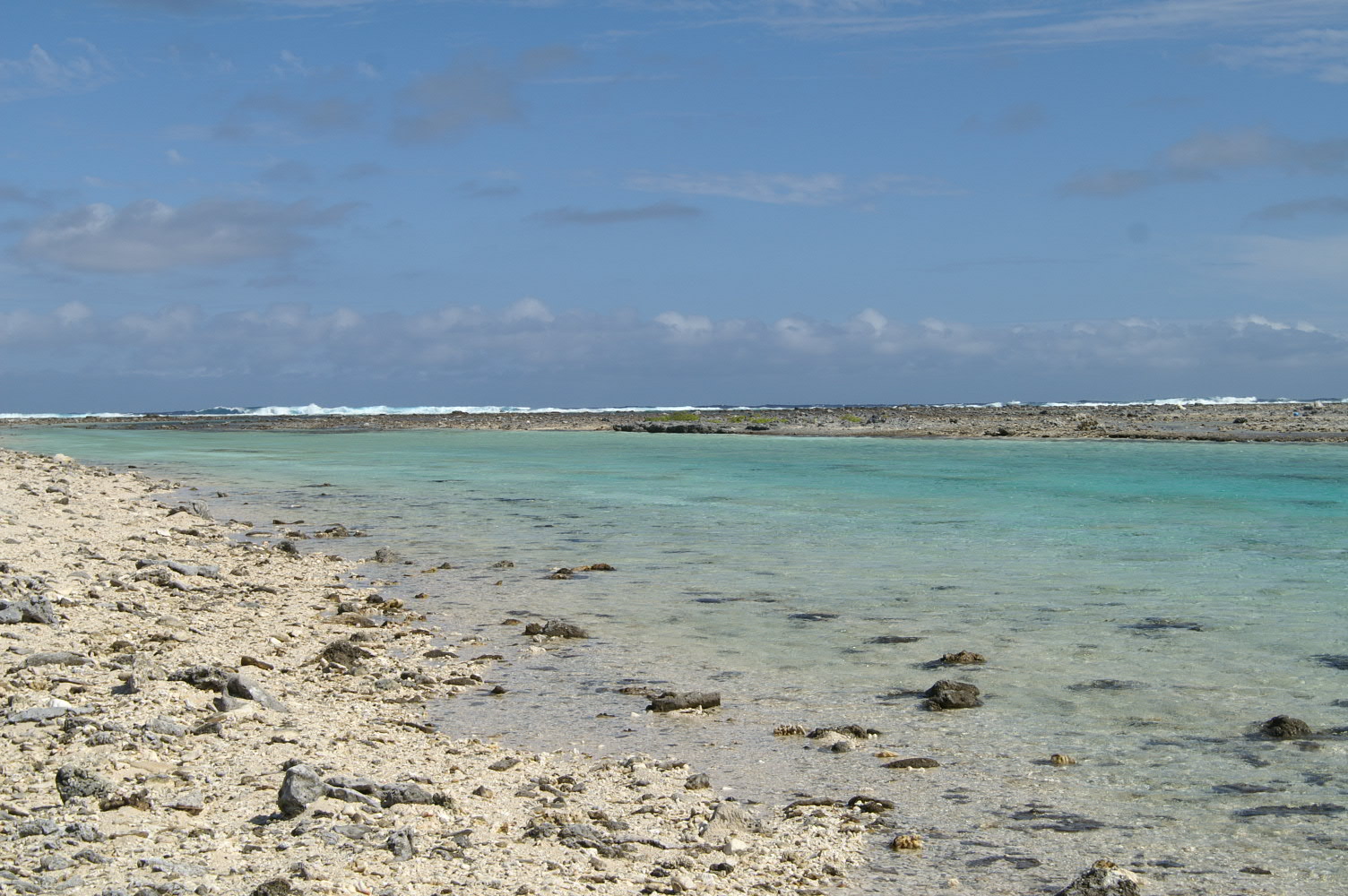 PICT1193.JPG