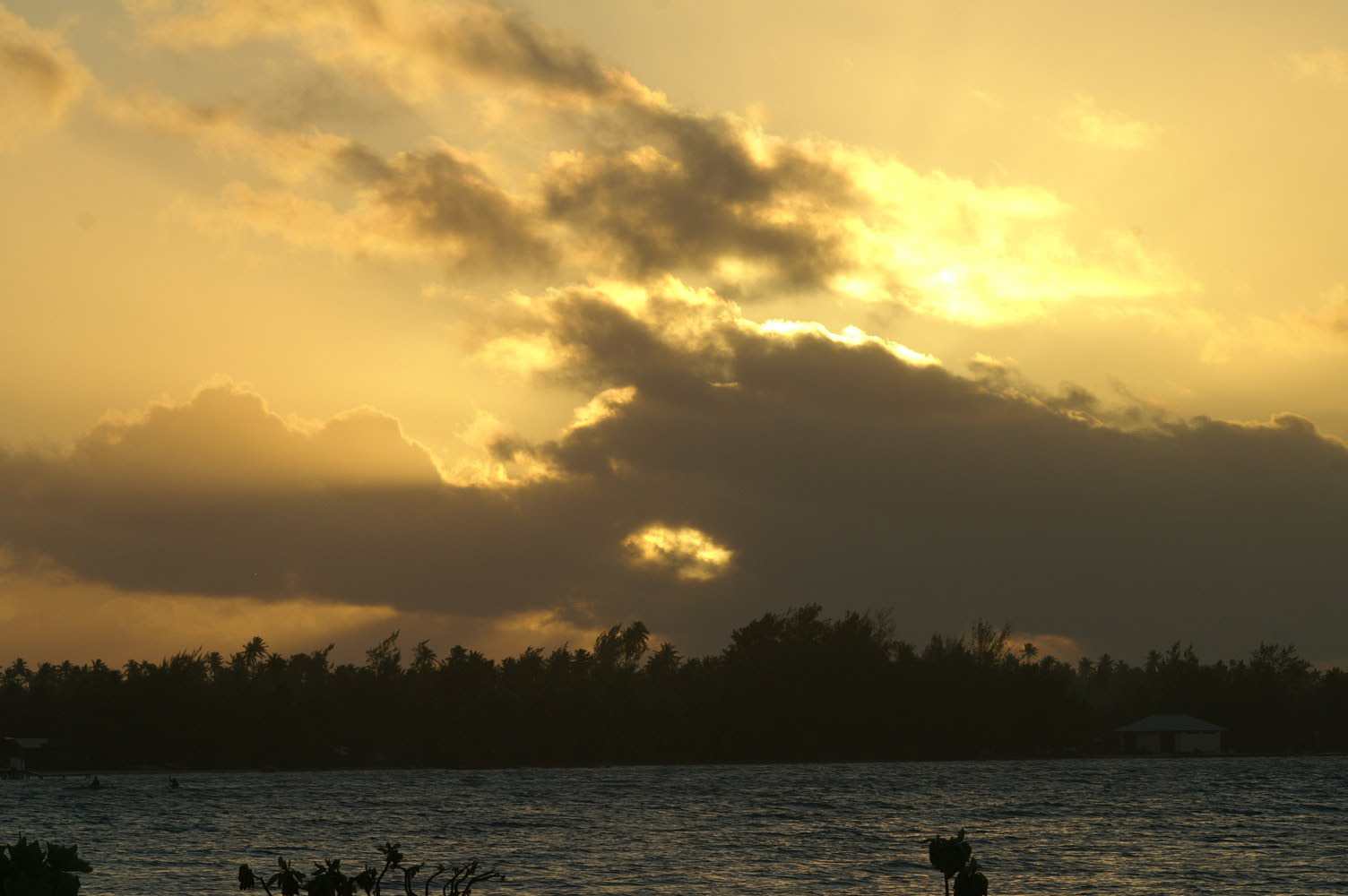 PICT1202.JPG