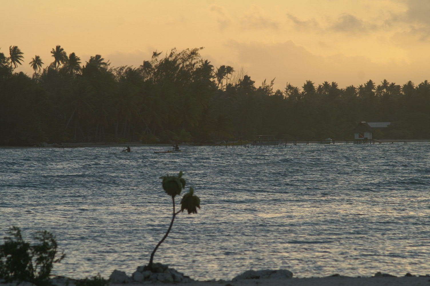 PICT1205.JPG