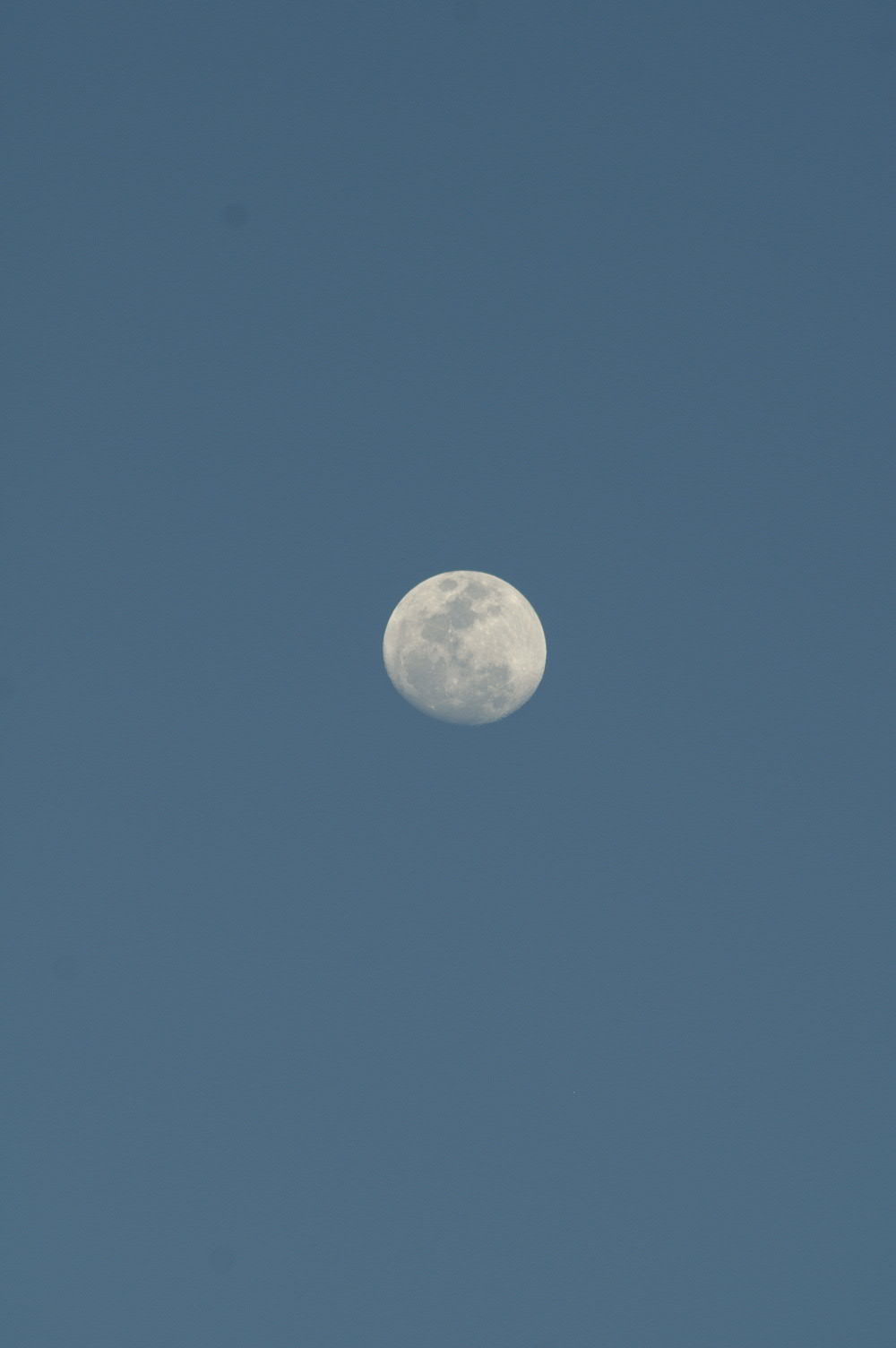 PICT1207.JPG