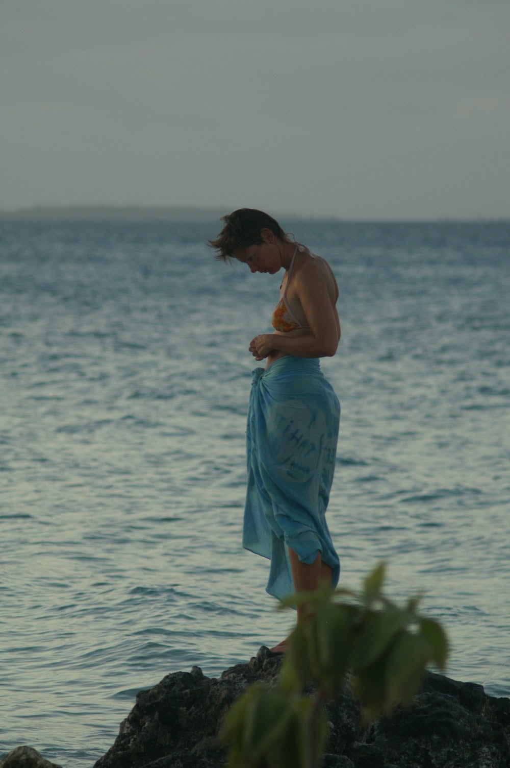 PICT1215.JPG