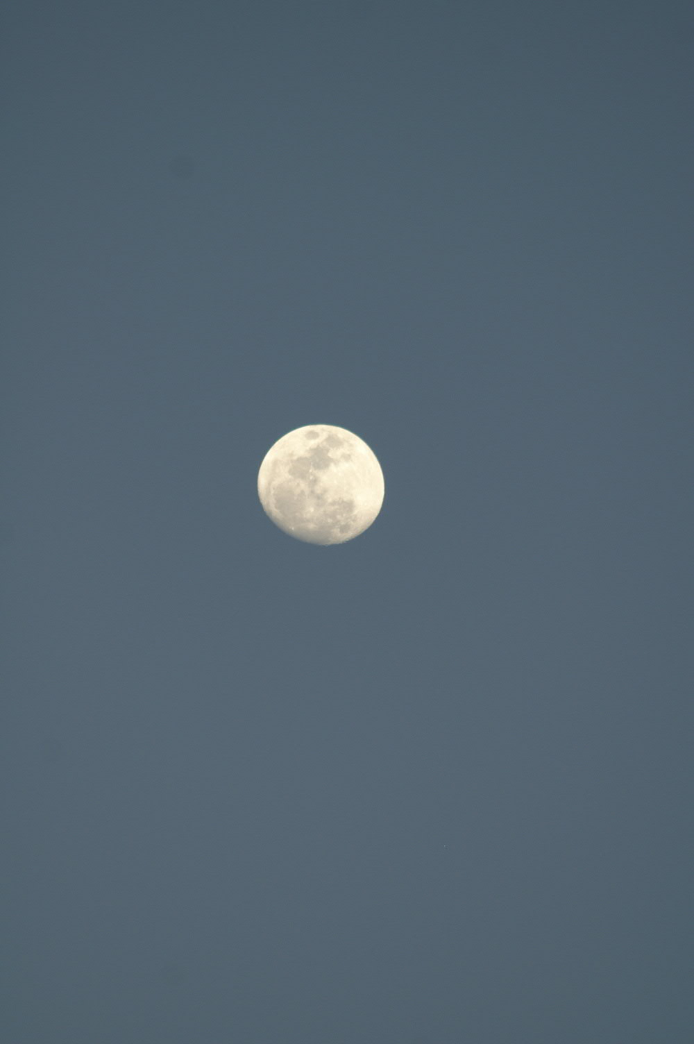PICT1217.JPG