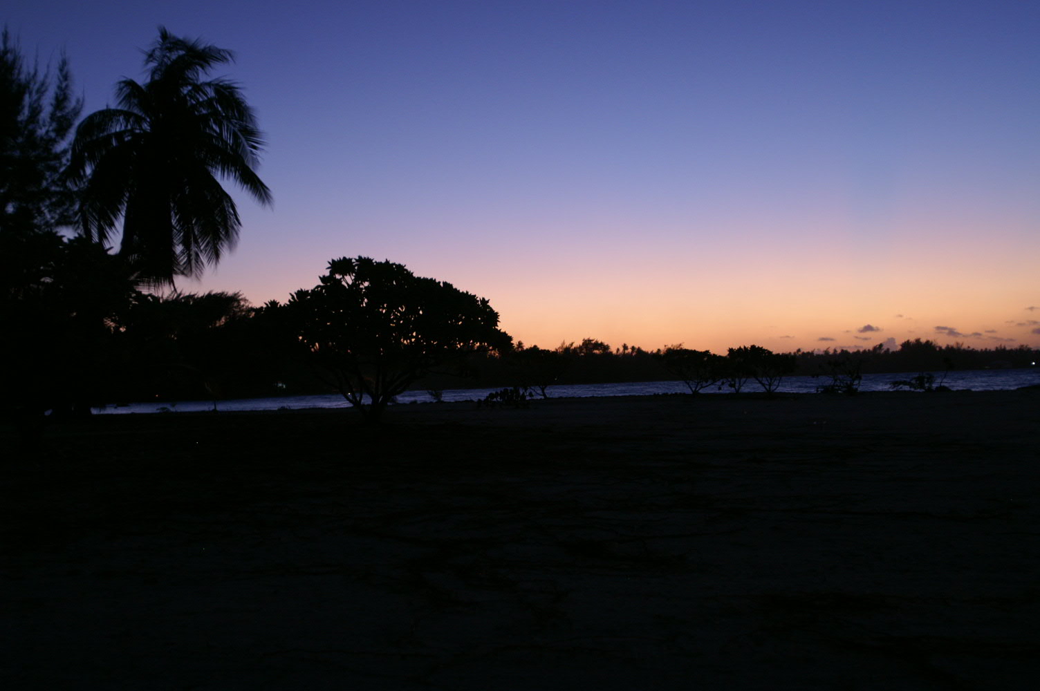 PICT1222.JPG