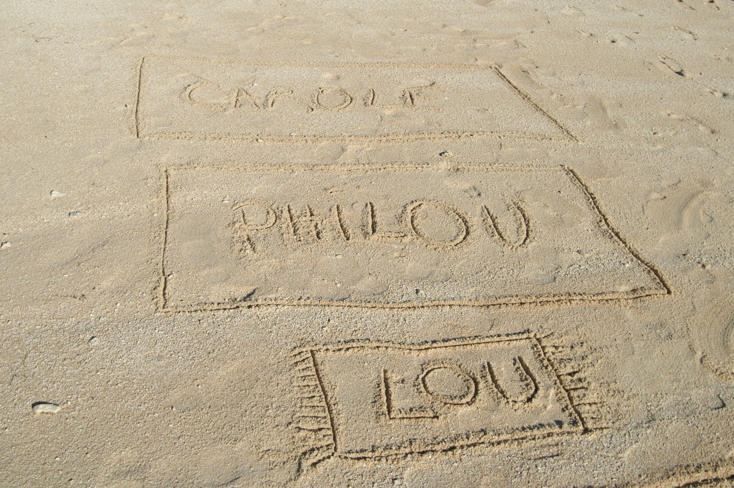 PICT1226.JPG