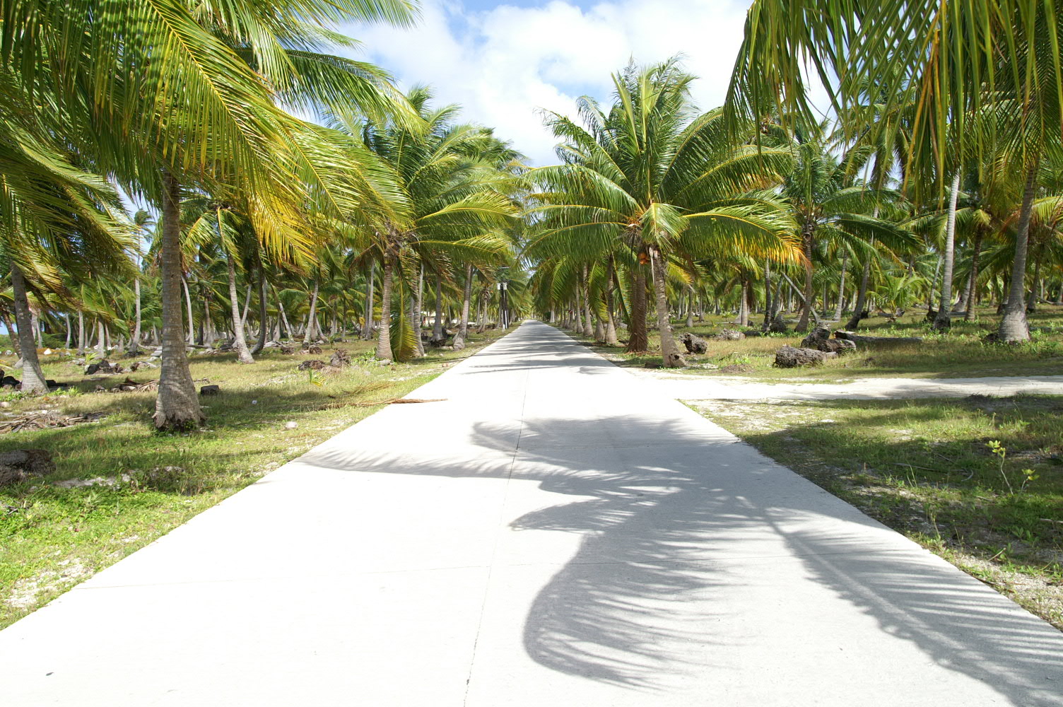 PICT1229.JPG