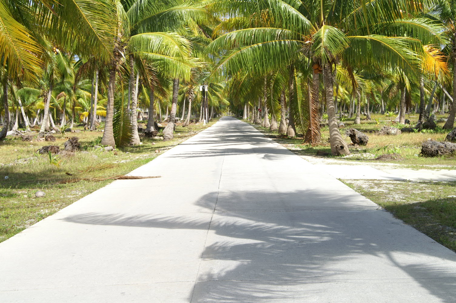 PICT1230.JPG