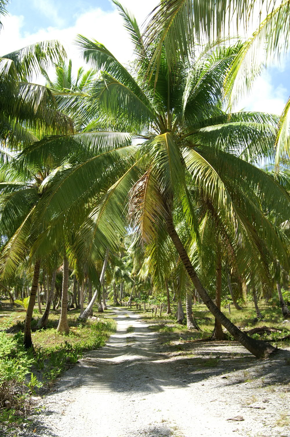 PICT1239.JPG