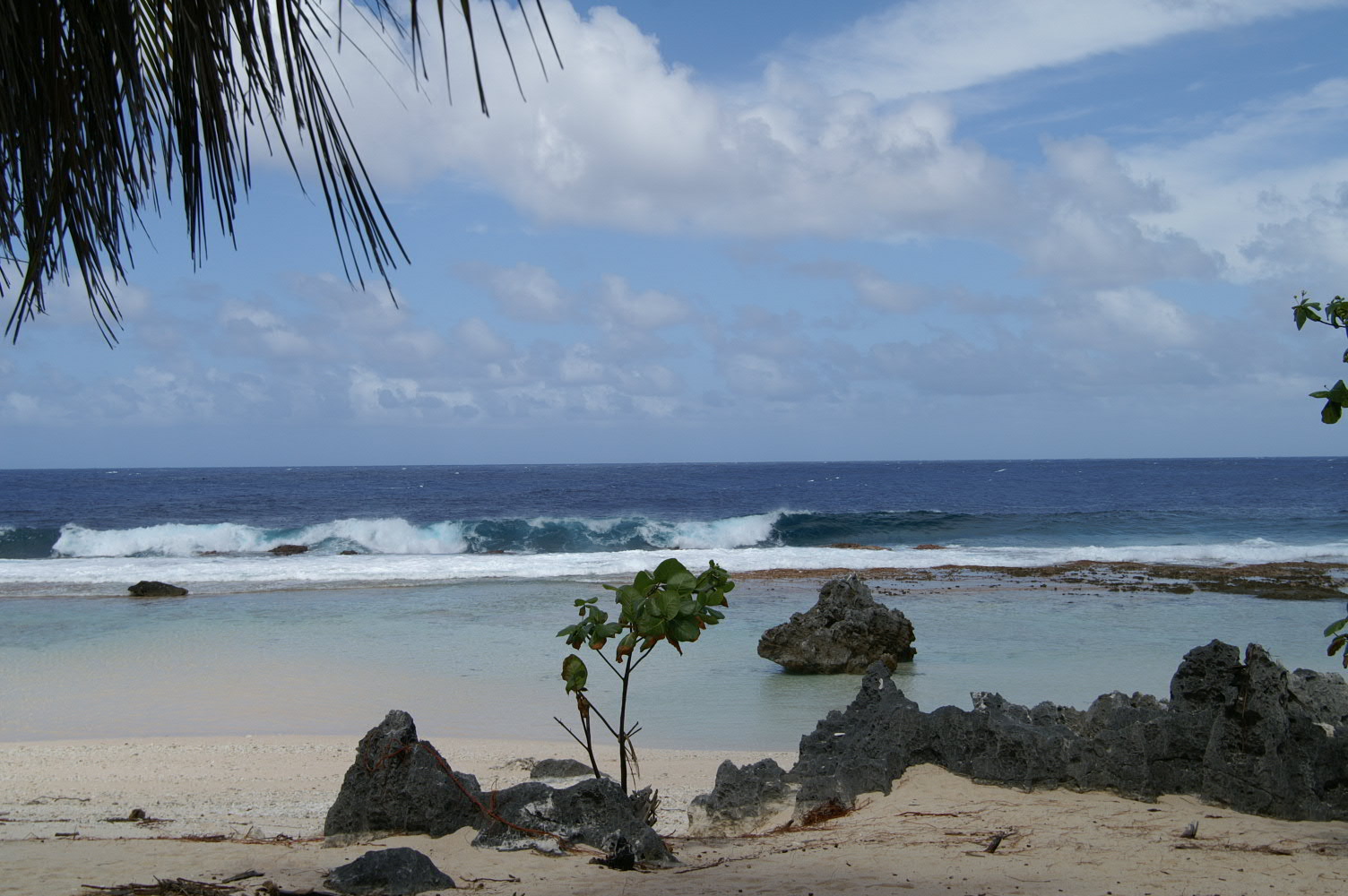 PICT1240.JPG