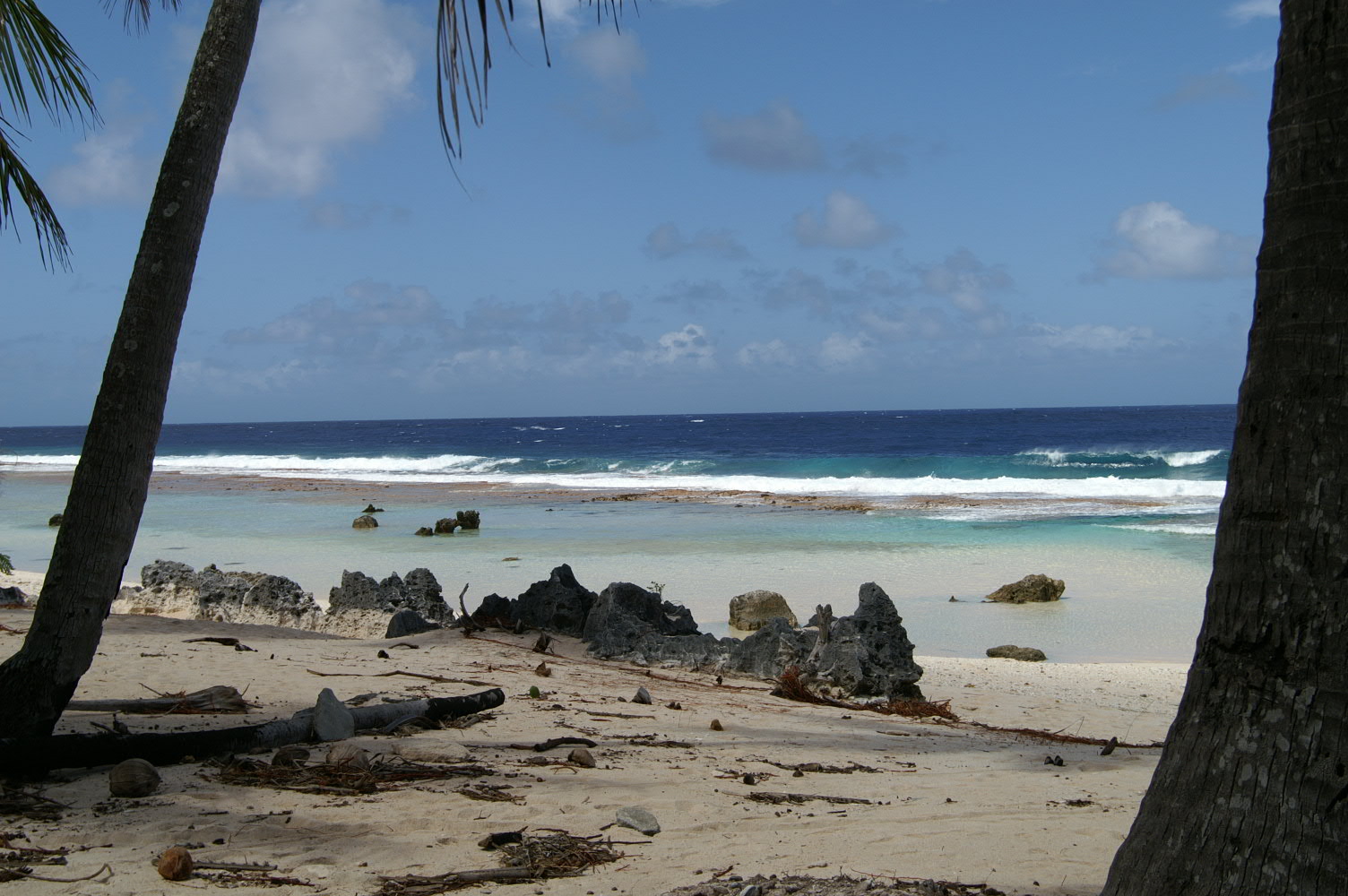 PICT1241.JPG