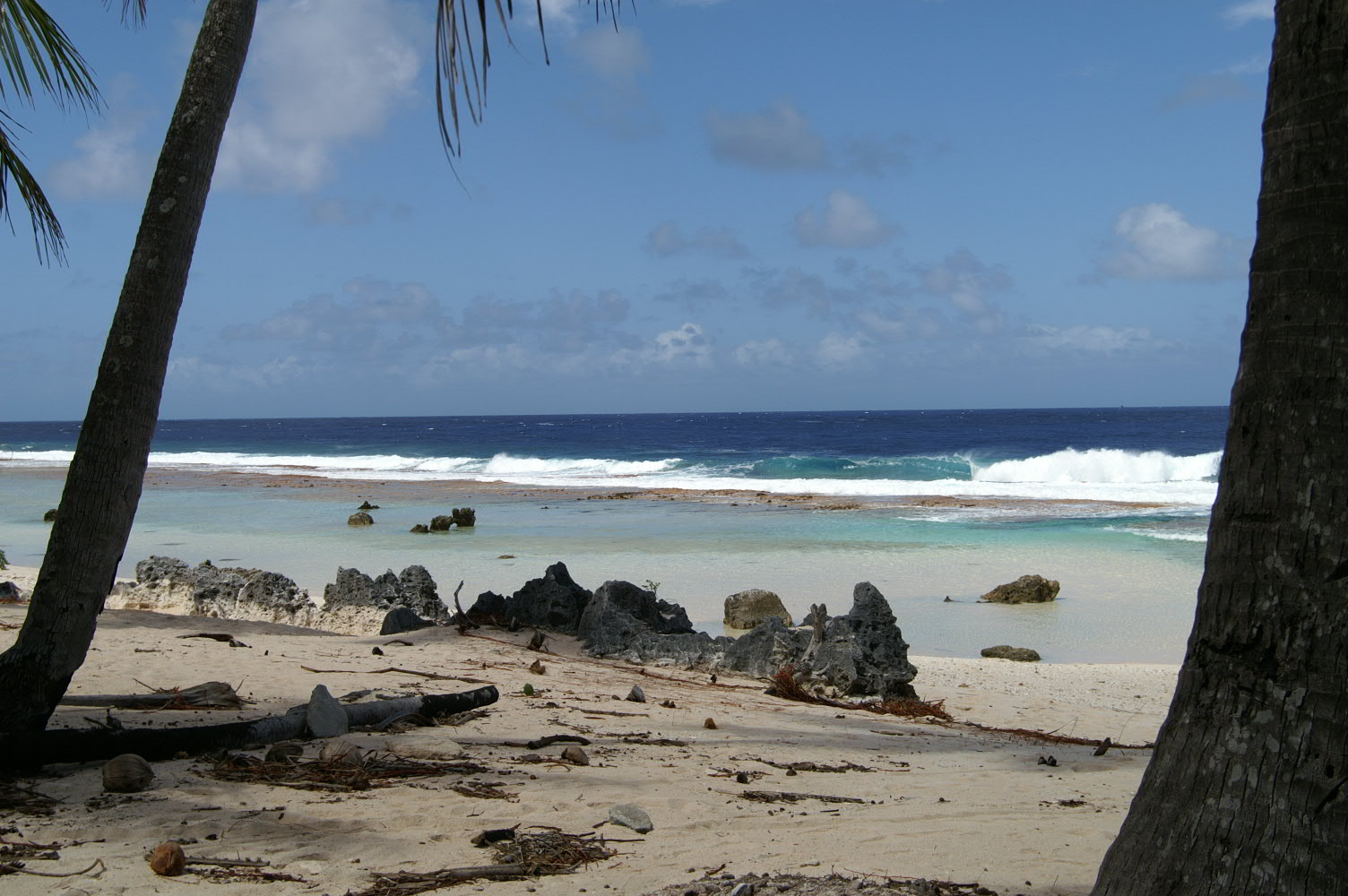 PICT1242.JPG