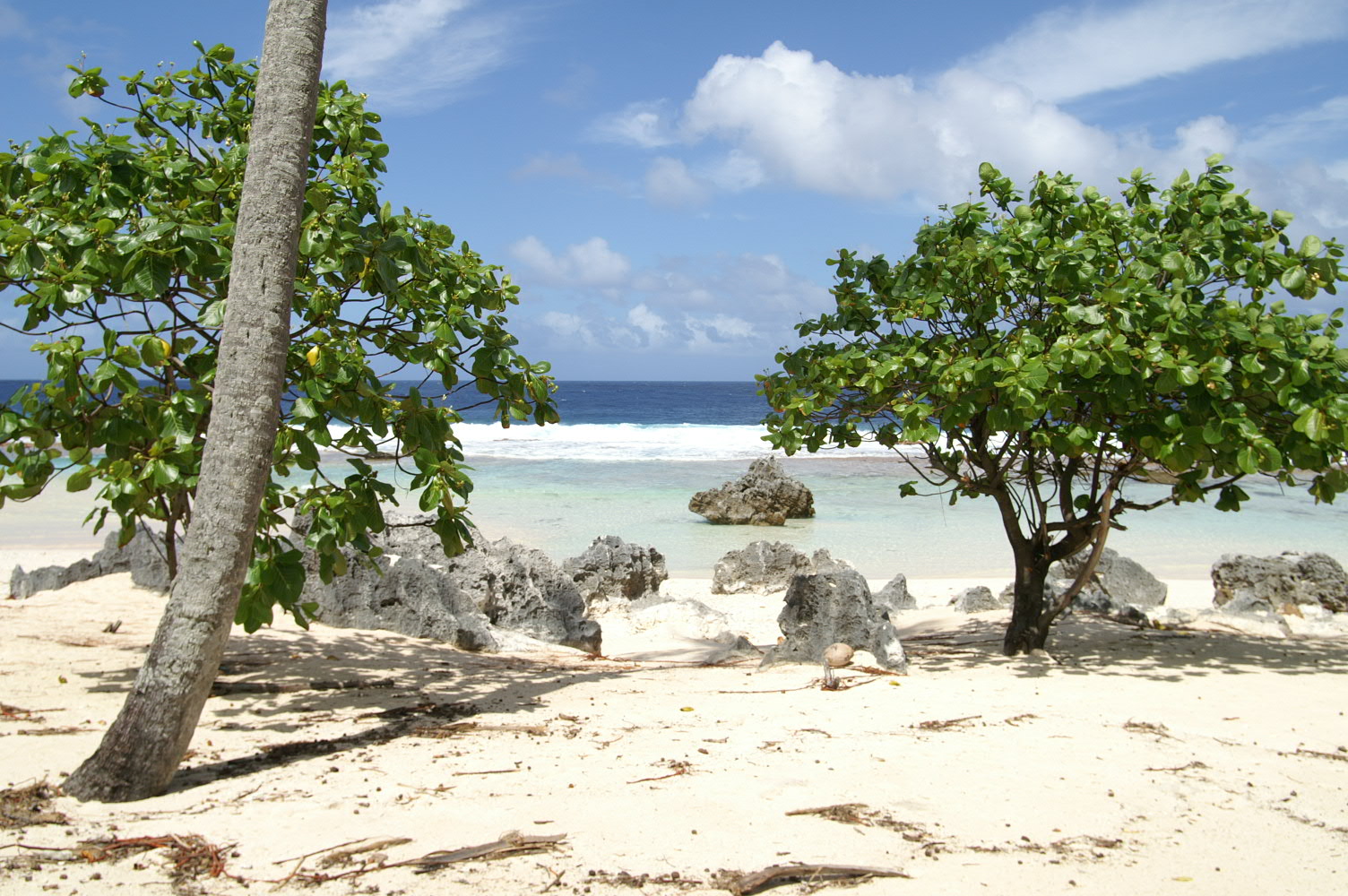 PICT1244.JPG
