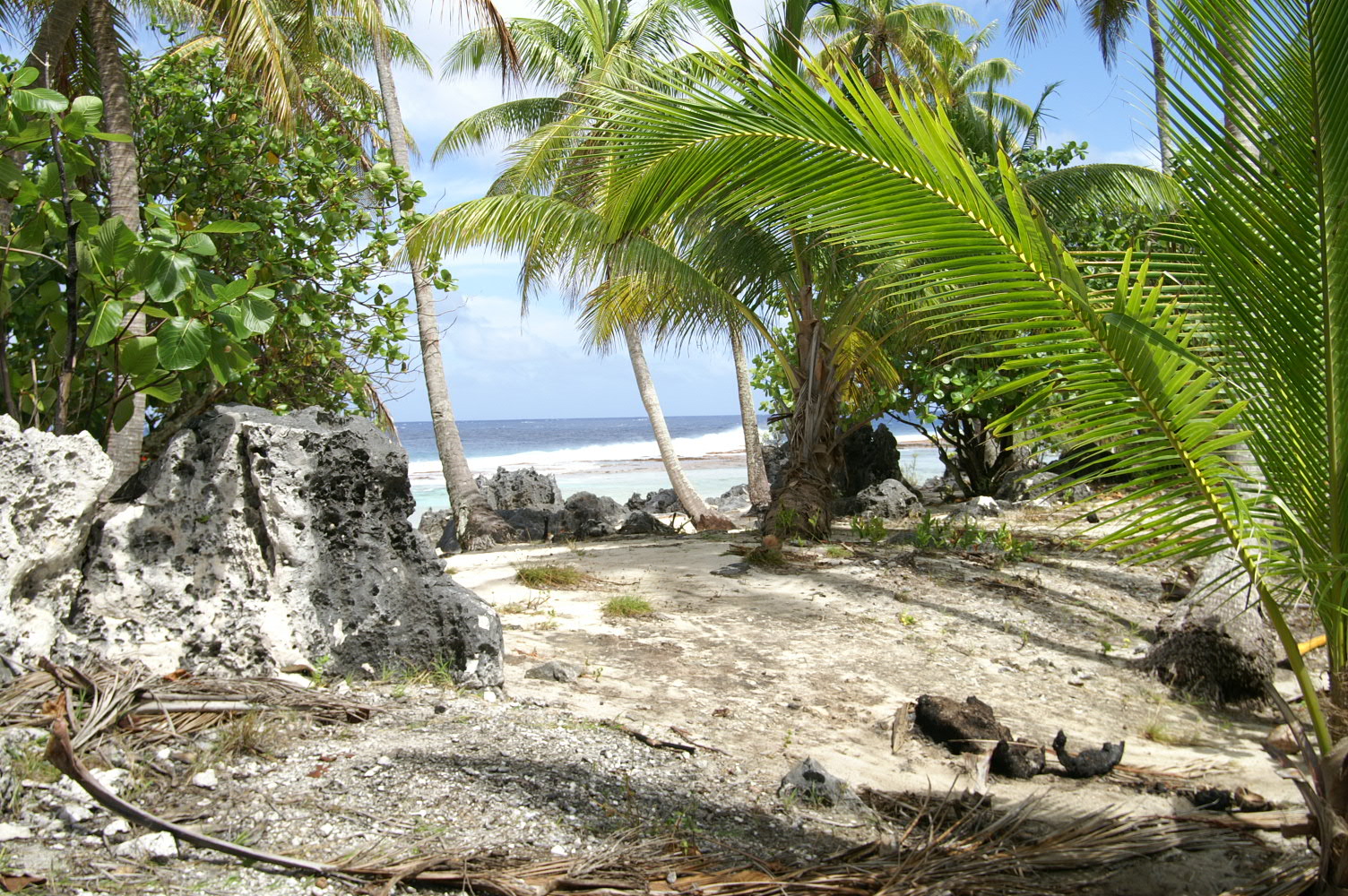 PICT1246.JPG