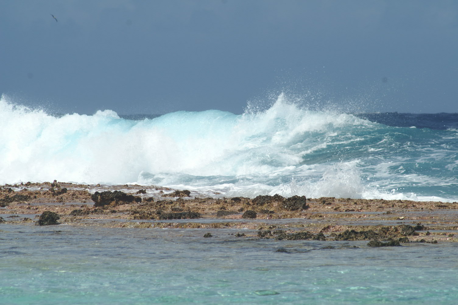 PICT1249.JPG