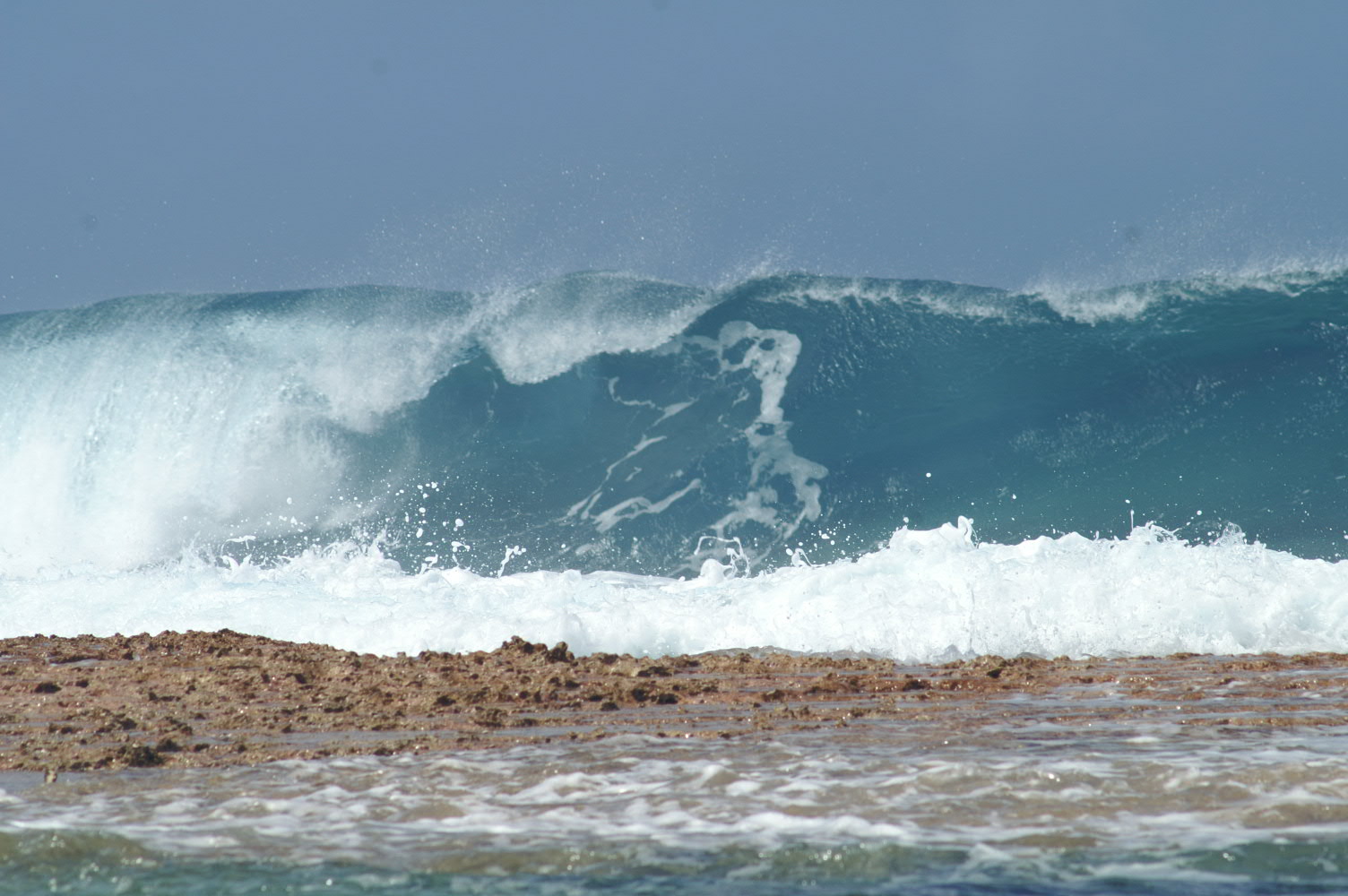 PICT1250.JPG