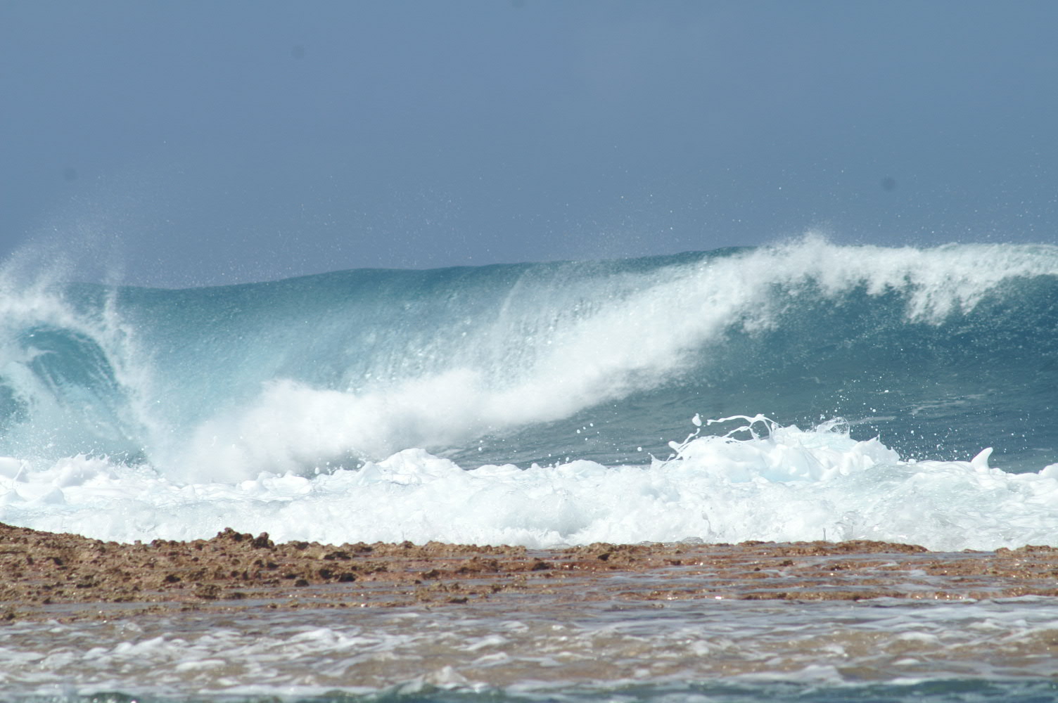 PICT1251.JPG