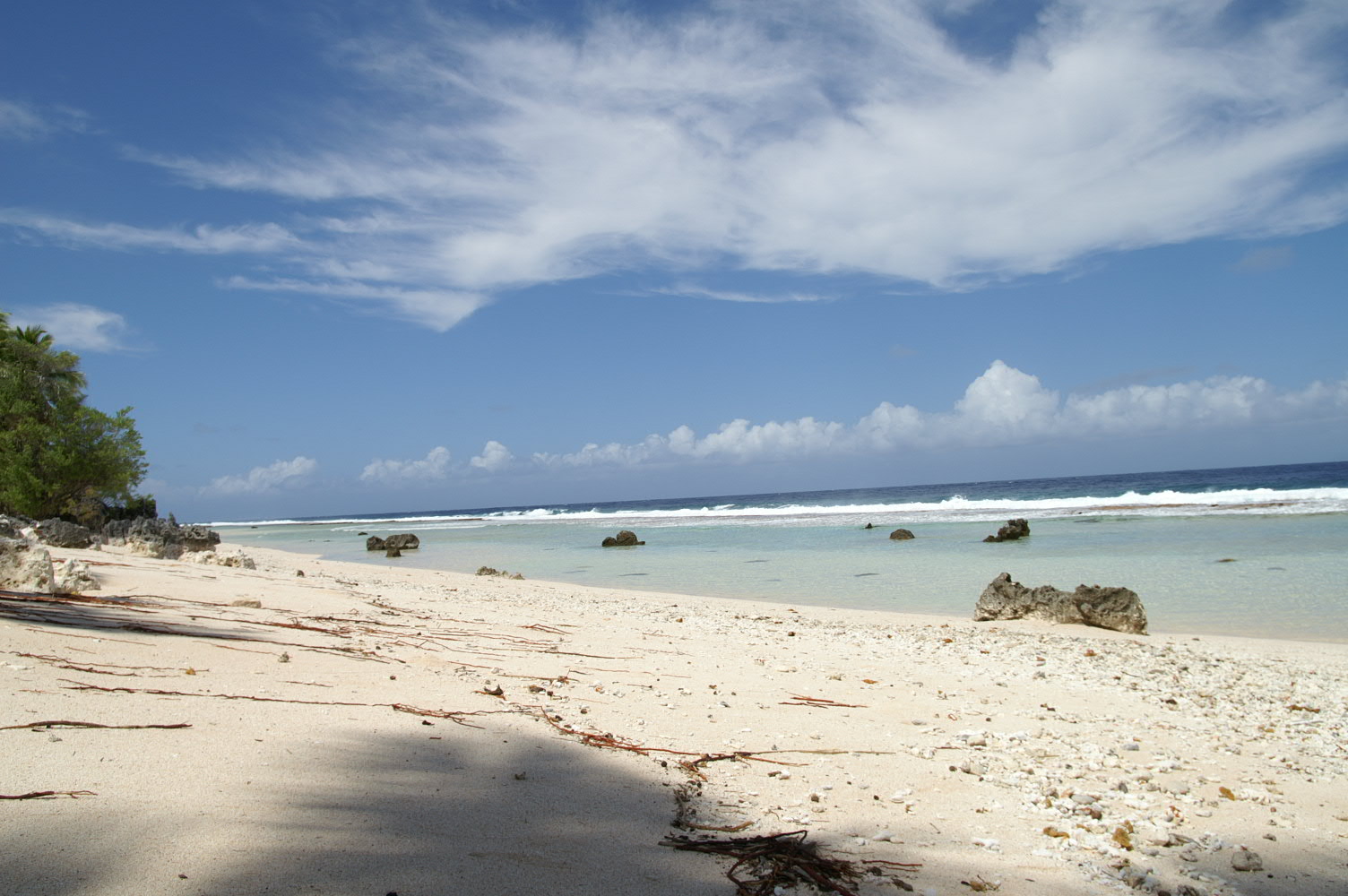 PICT1255.JPG