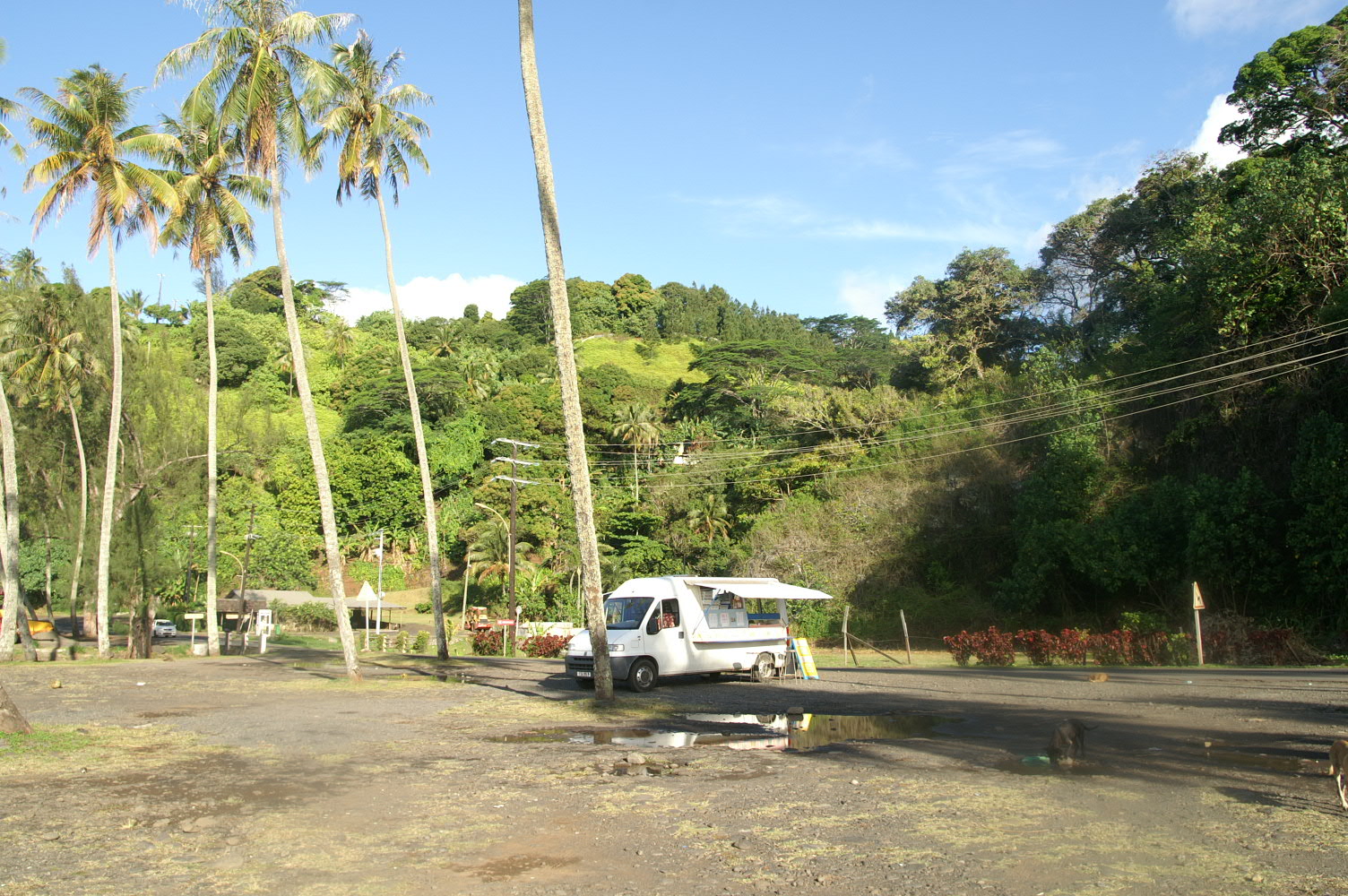 PICT1267.JPG
