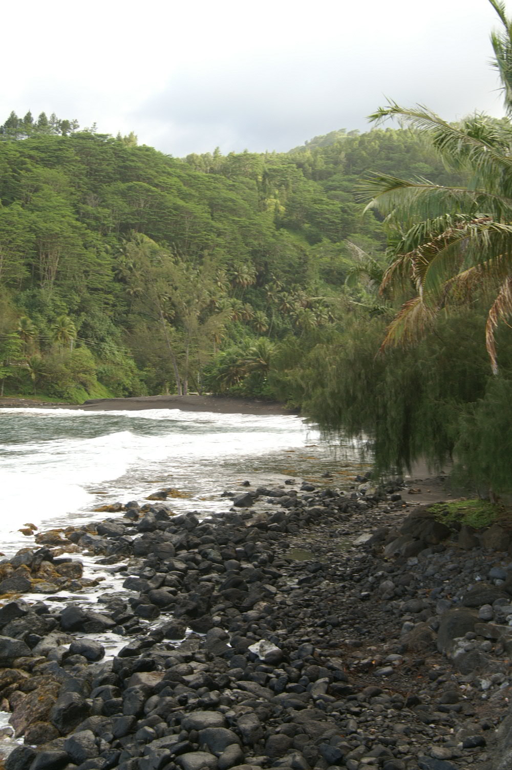PICT1274.JPG