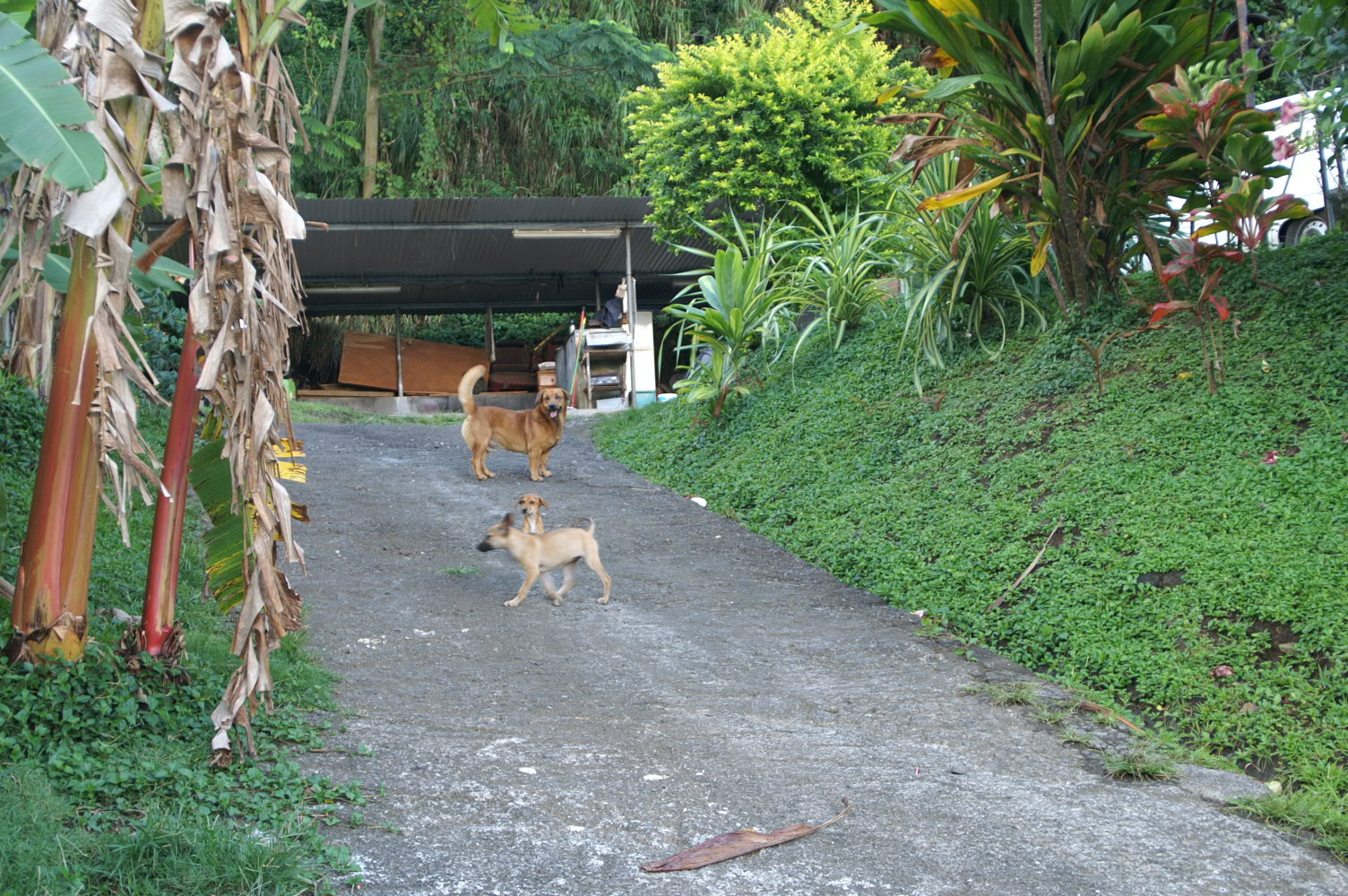 PICT1279.JPG