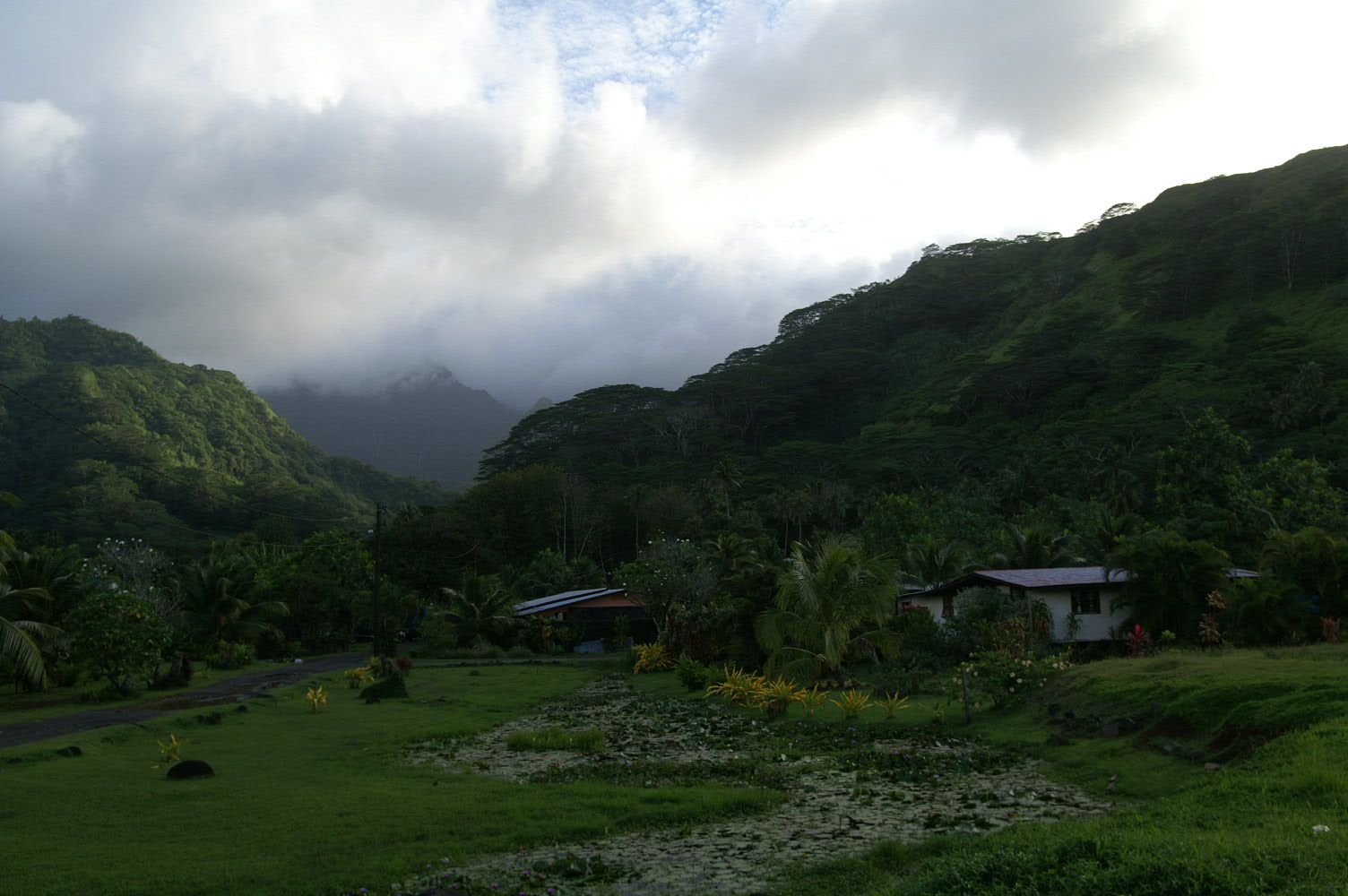 PICT1280.JPG