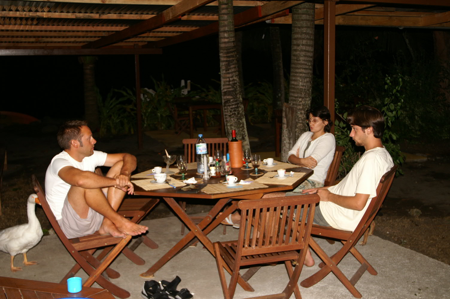 PICT1293.JPG