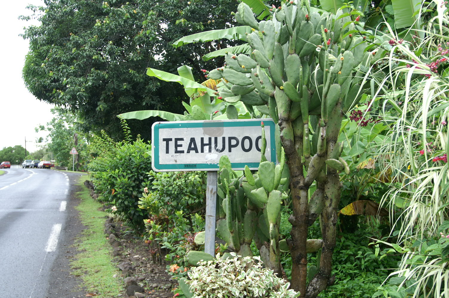 PICT1295.JPG