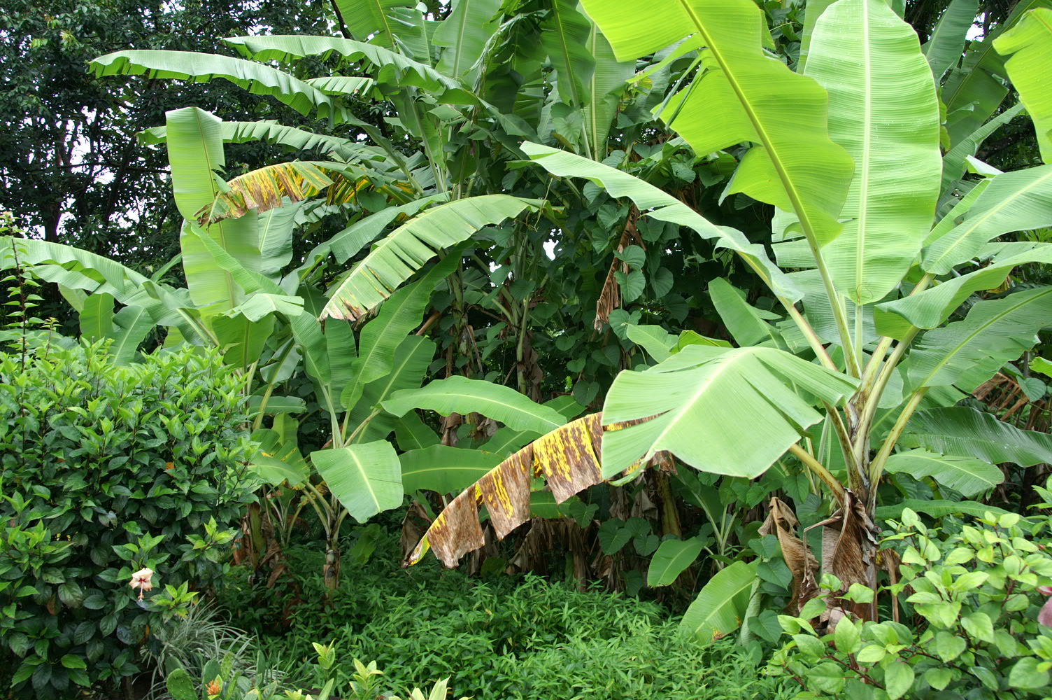PICT1297.JPG