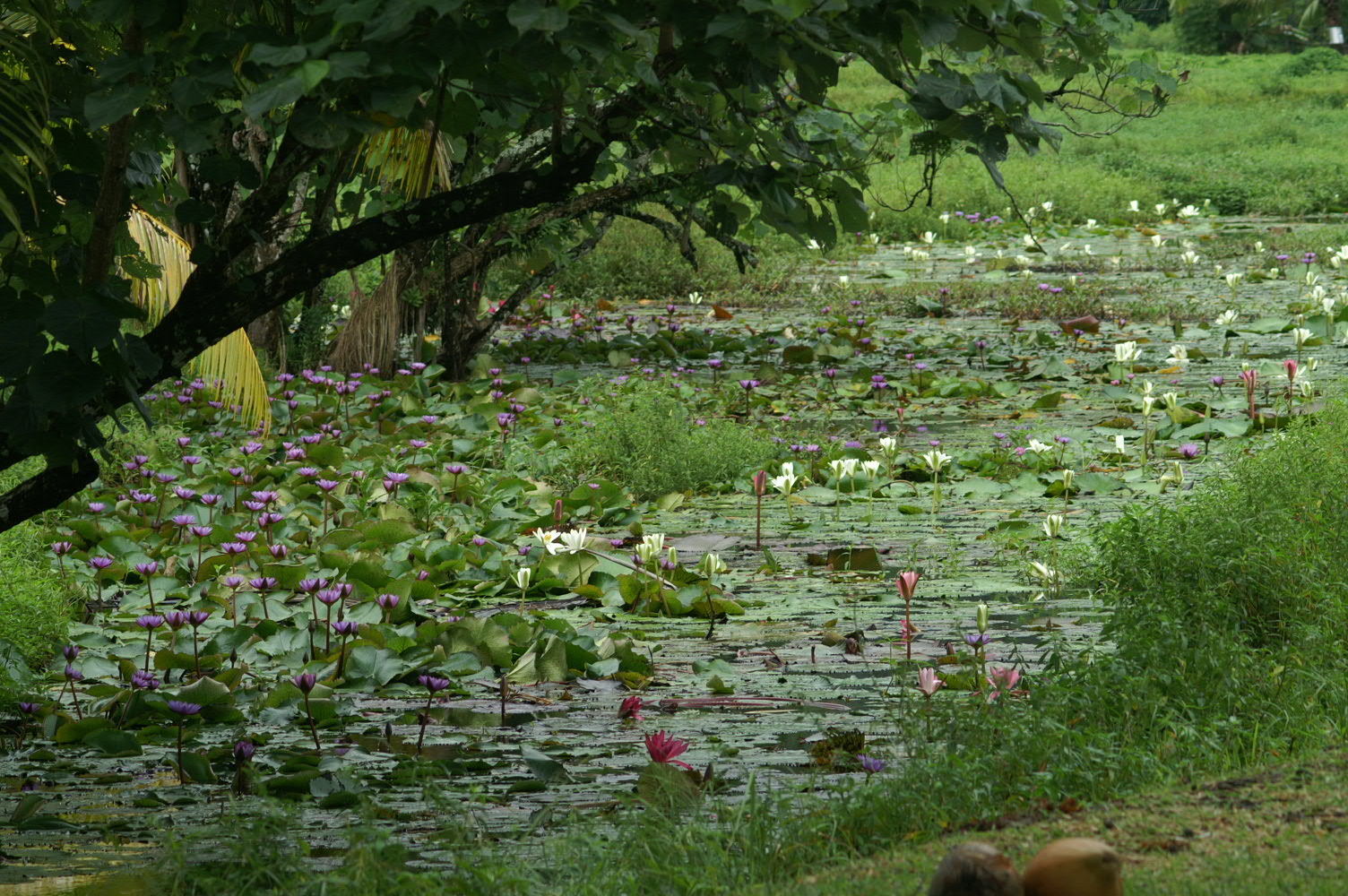 PICT1304.JPG