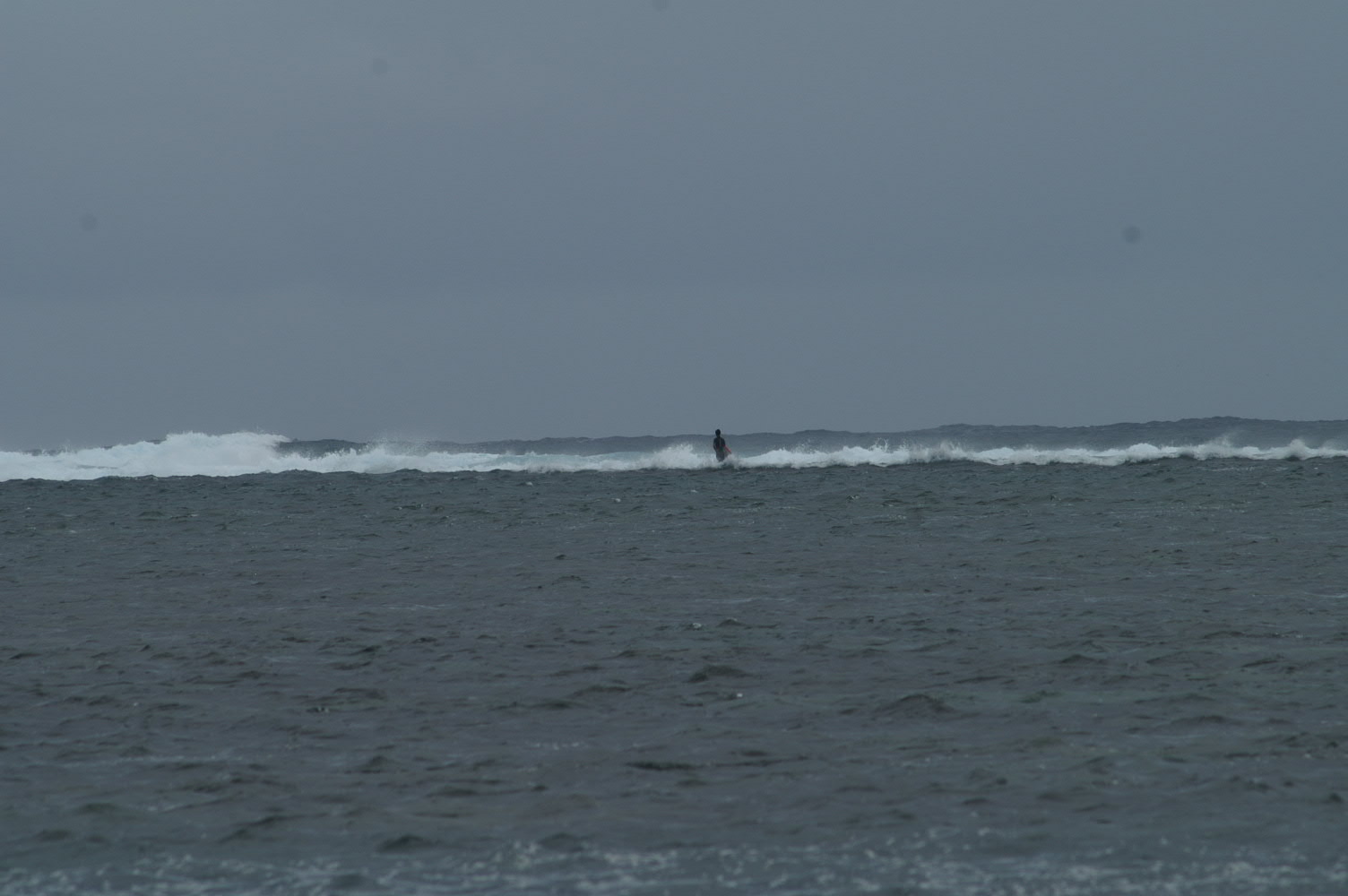 PICT1305.JPG