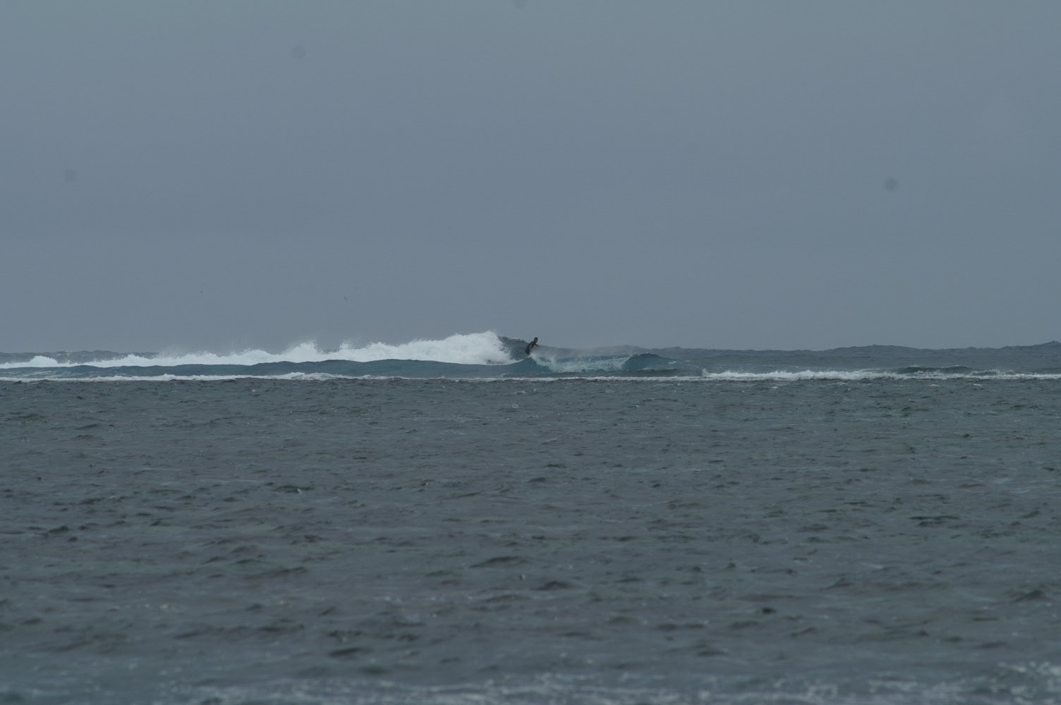 PICT1306.JPG