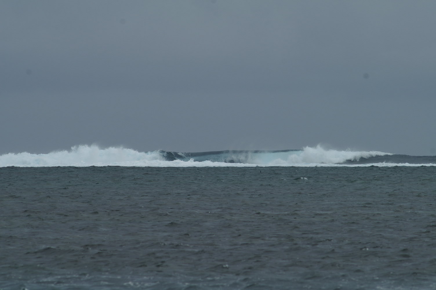 PICT1307.JPG
