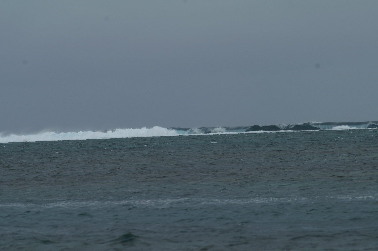 PICT1308.JPG