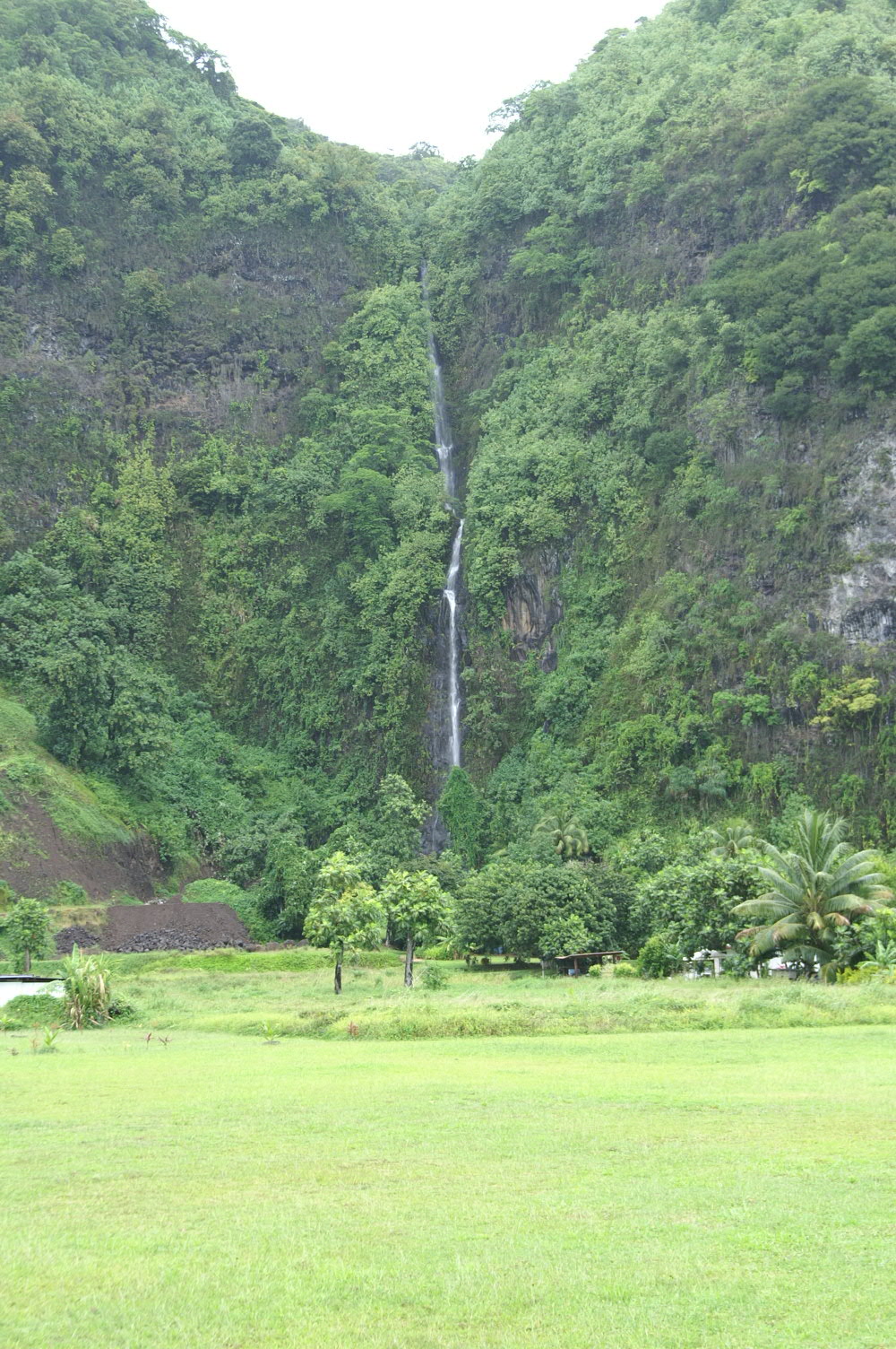 PICT1321.JPG