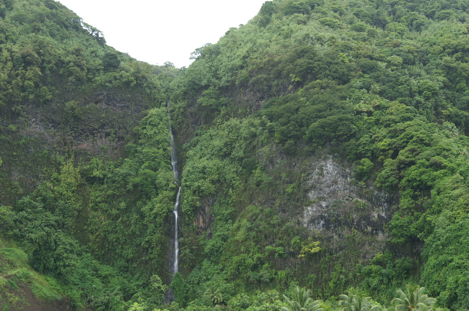 PICT1322.JPG