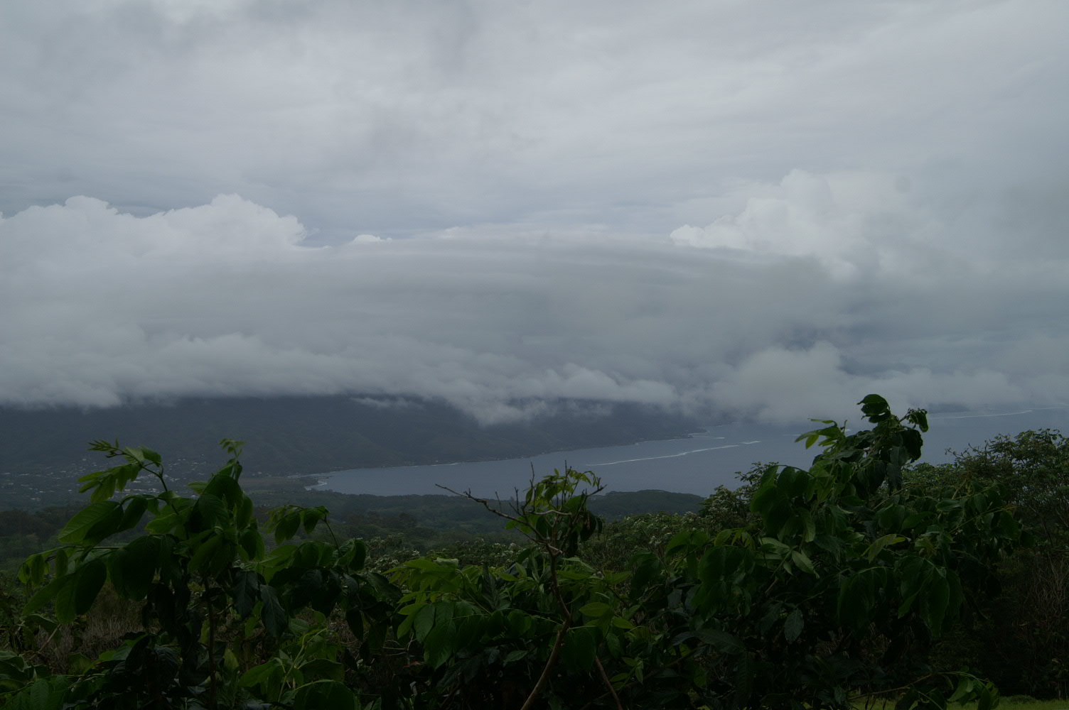 PICT1332.JPG