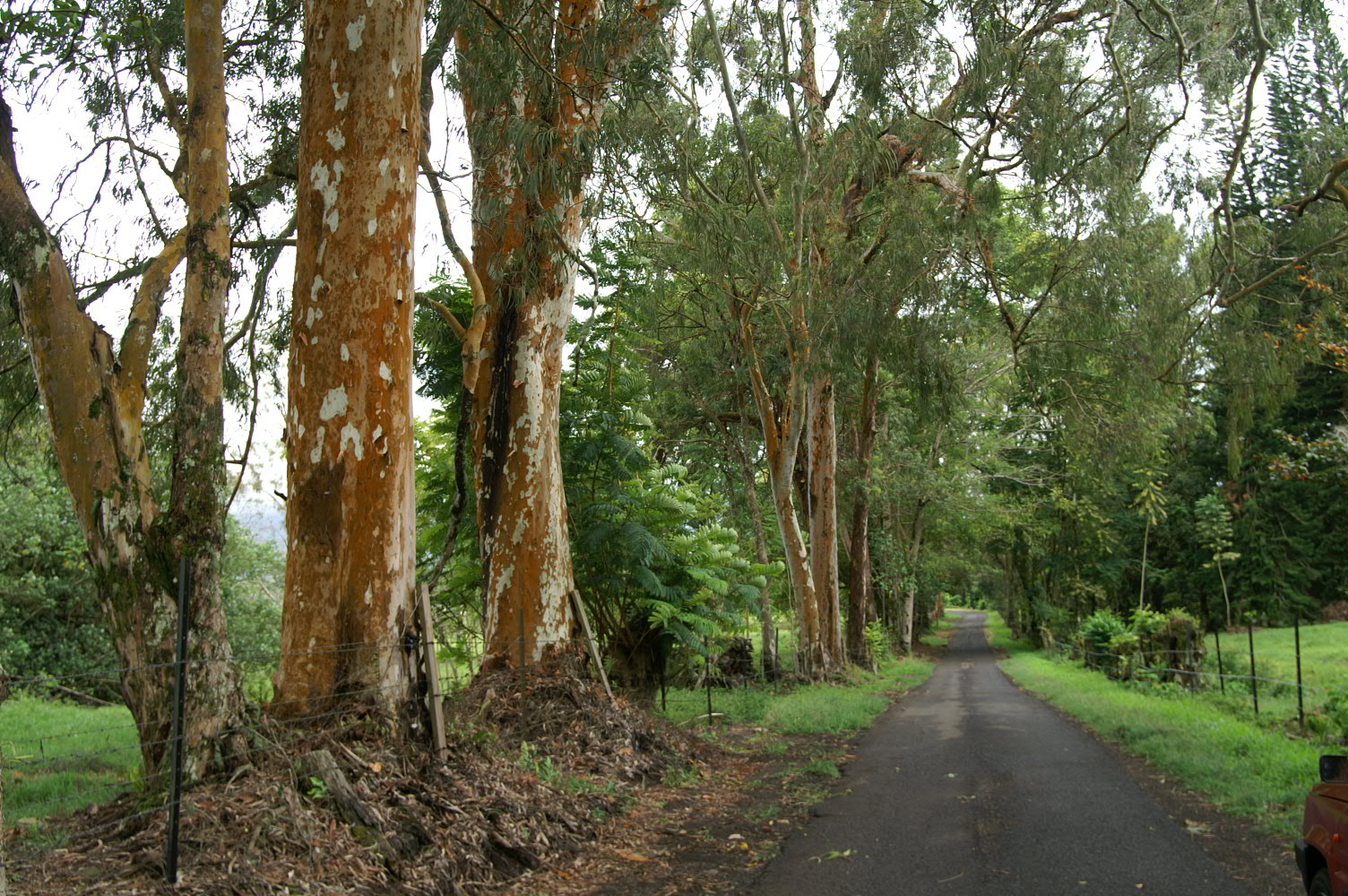 PICT1337.JPG